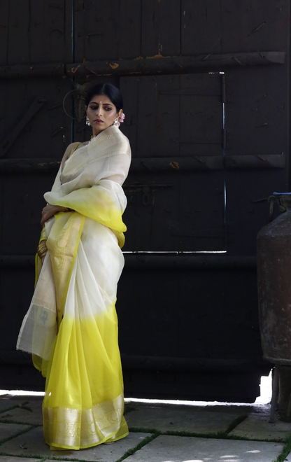 Buy 'Lemon Blossoms' Pure Organza Silk Saree With Banarasi Border: Summer Silk Banarasi Organza Saree