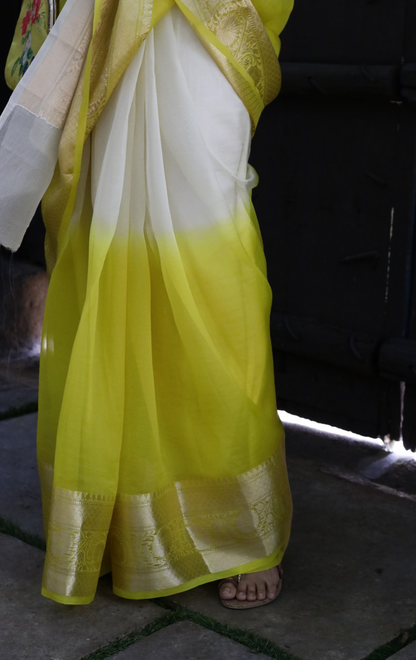 Buy 'Lemon Blossoms' Pure Organza Silk Saree With Banarasi Border: Summer Silk Banarasi Organza Saree