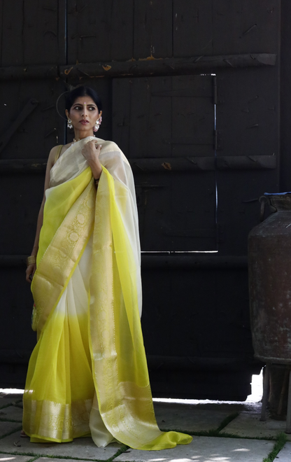 Buy 'Lemon Blossoms' Pure Organza Silk Saree With Banarasi Border: Summer Silk Banarasi Organza Saree